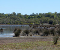 Thomsons Lake Nature Reserve
